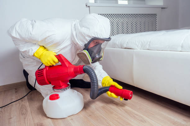 Best Real Estate Pest Inspections  in Pierson, FL